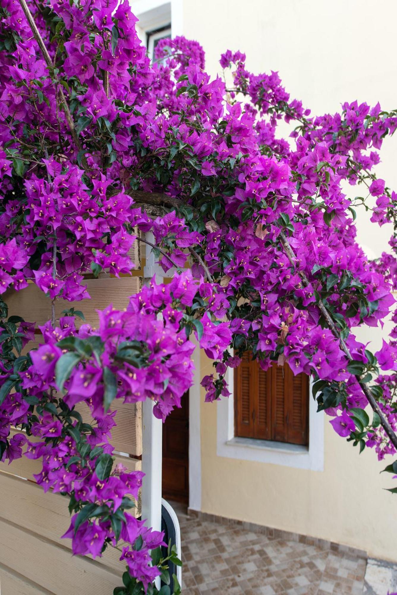Hill Lofos Hotel Kassiopi Exterior photo