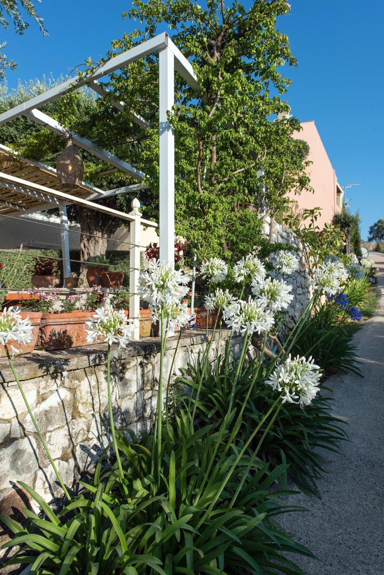 Hill Lofos Hotel Kassiopi Exterior photo